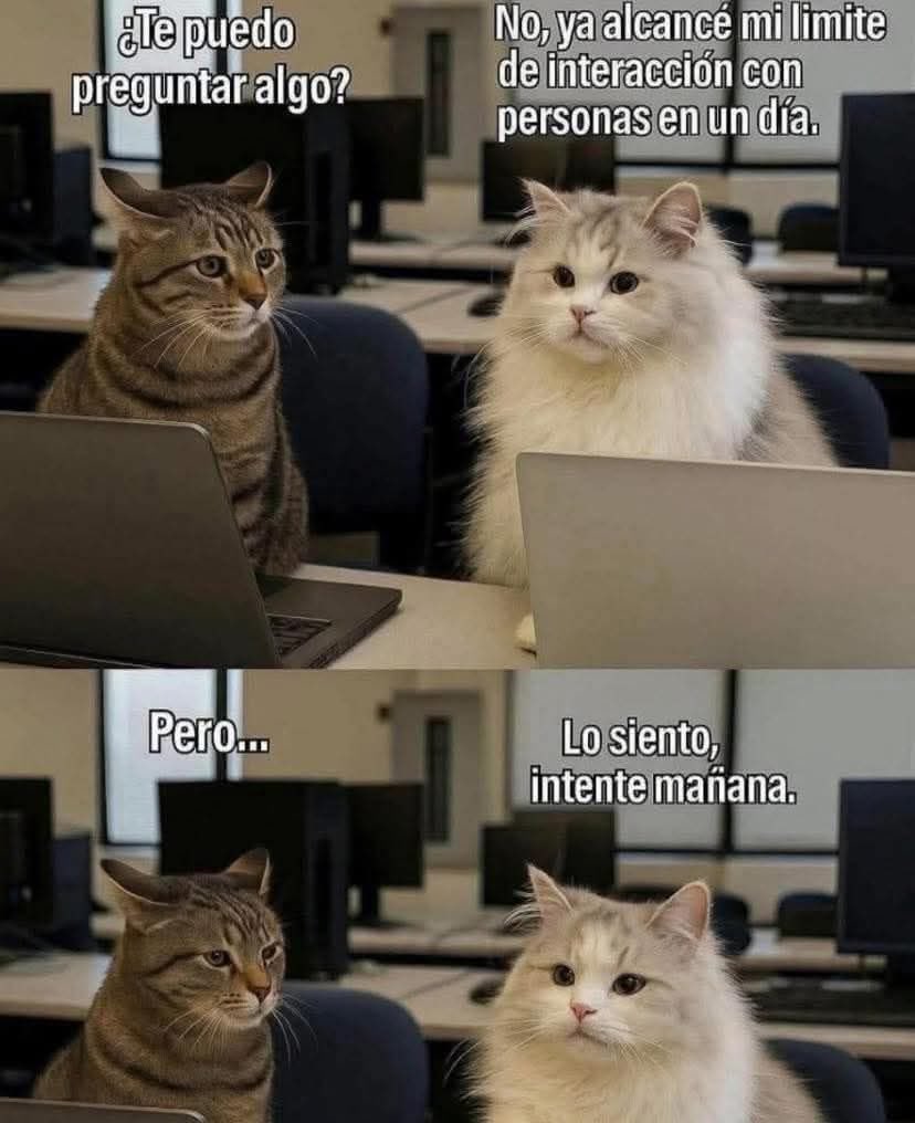 DiloConGatitoz's tweet image. Lo siento