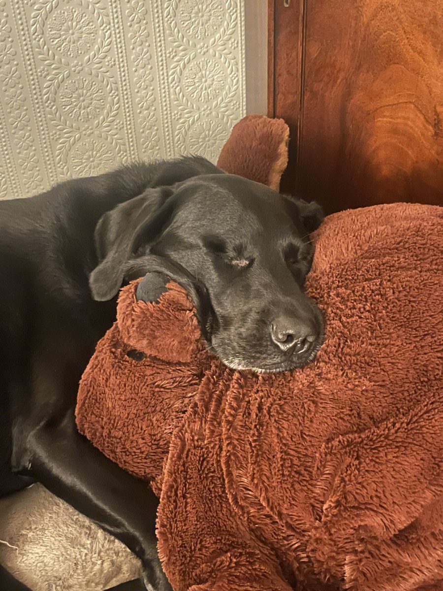 fuff ✨ tweet media