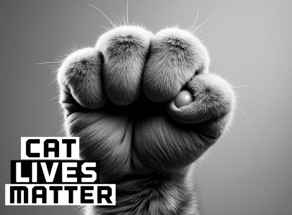 WinWinChester3's tweet image. ......😸 😸 😸 ✊🏻