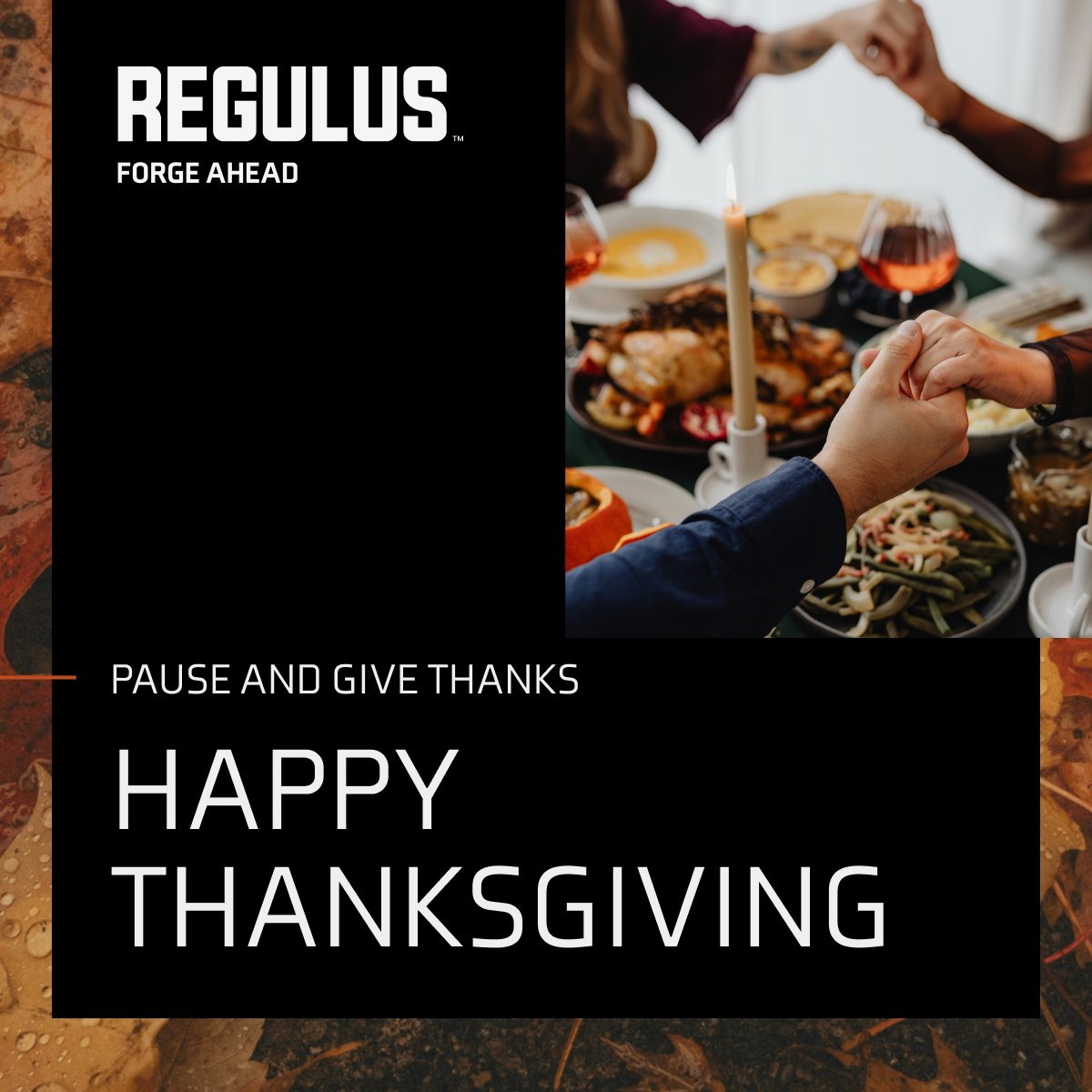 From all of us at Regulus Global—Happy Thanksgiving. 🦃

This Thanksgiving, we pause to give thanks for the people who make our mission possible—our teammates, partners, and allies around the world.

And a special thank you to our fellow Americans serving far from home so the