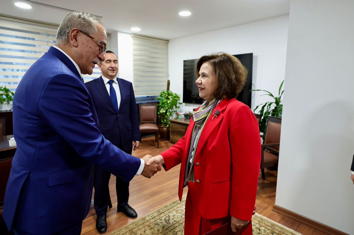 Turkish MFA tweet media