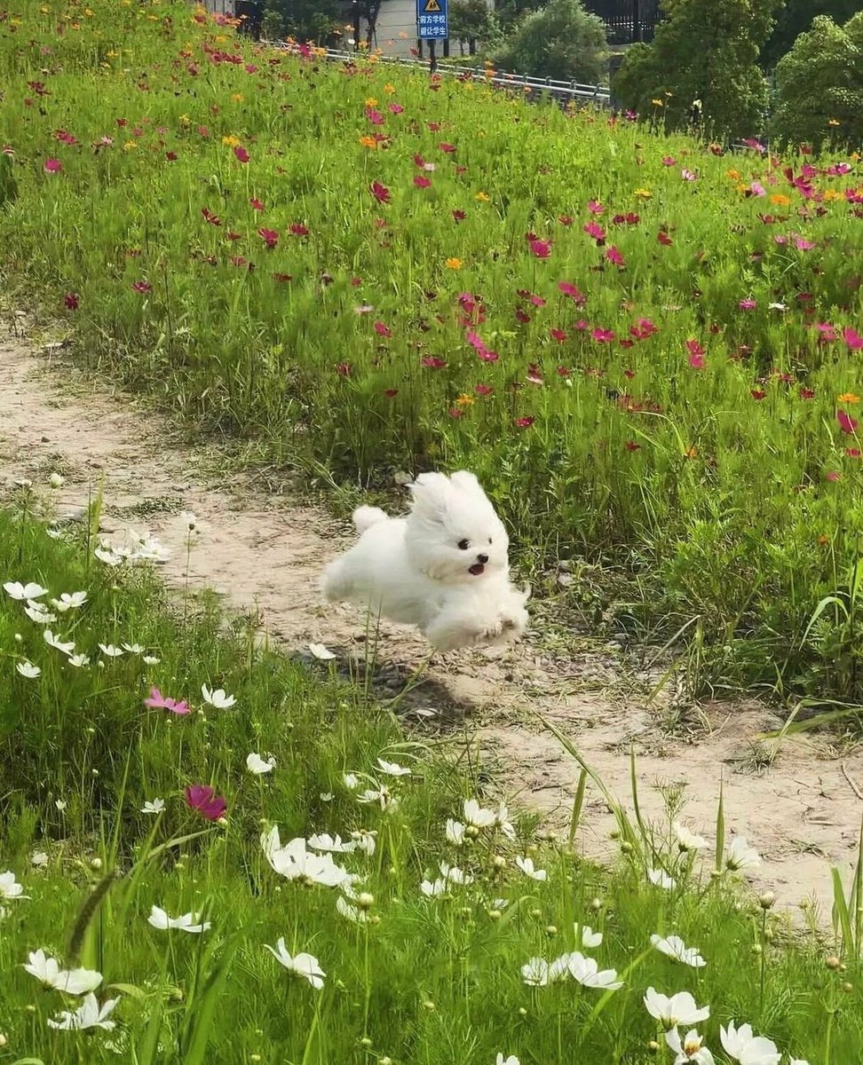 twaniimals's tweet image. 