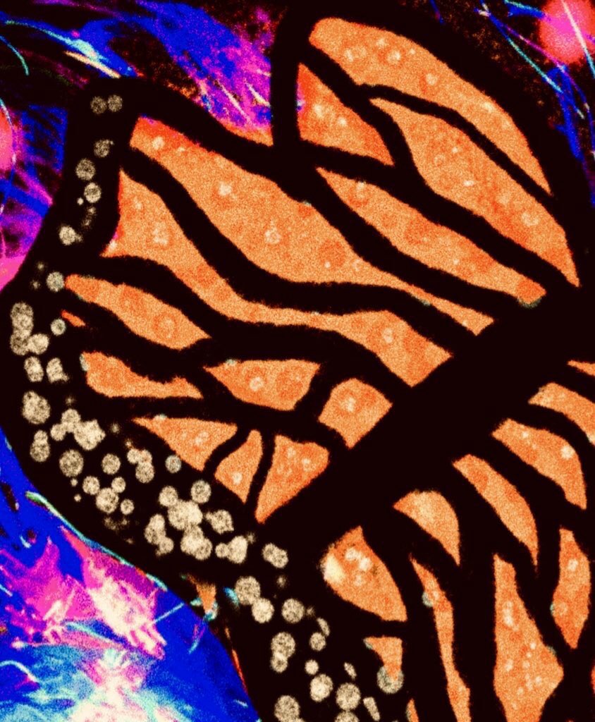 truthbytwoheart's tweet image. $745’s needed. #ShopSmall and support a nonbinary, disabled #PWLC #artist of Indigenous descent. #NAHM

#Art mayasdivinedesignstoo.square.site
#DigitalArt: Ko-Fi mayasdivinedesigns (also P/C/V)
Tips linktr.ee/mxmd1
#Music truthbytwo.bandcamp.com