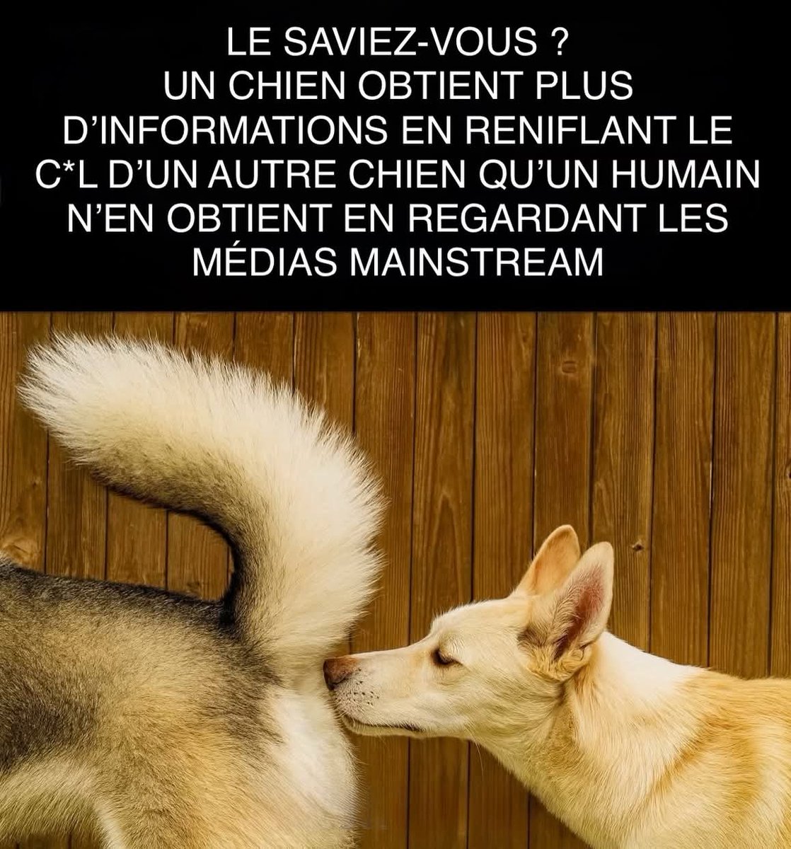 csibon27's tweet image. 🥰😇