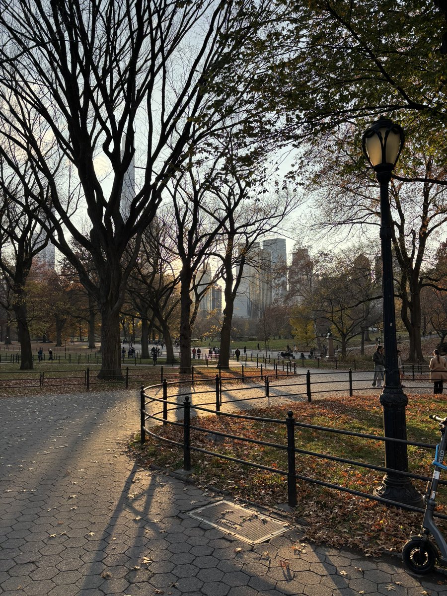 Happy Thanksgiving 🦃