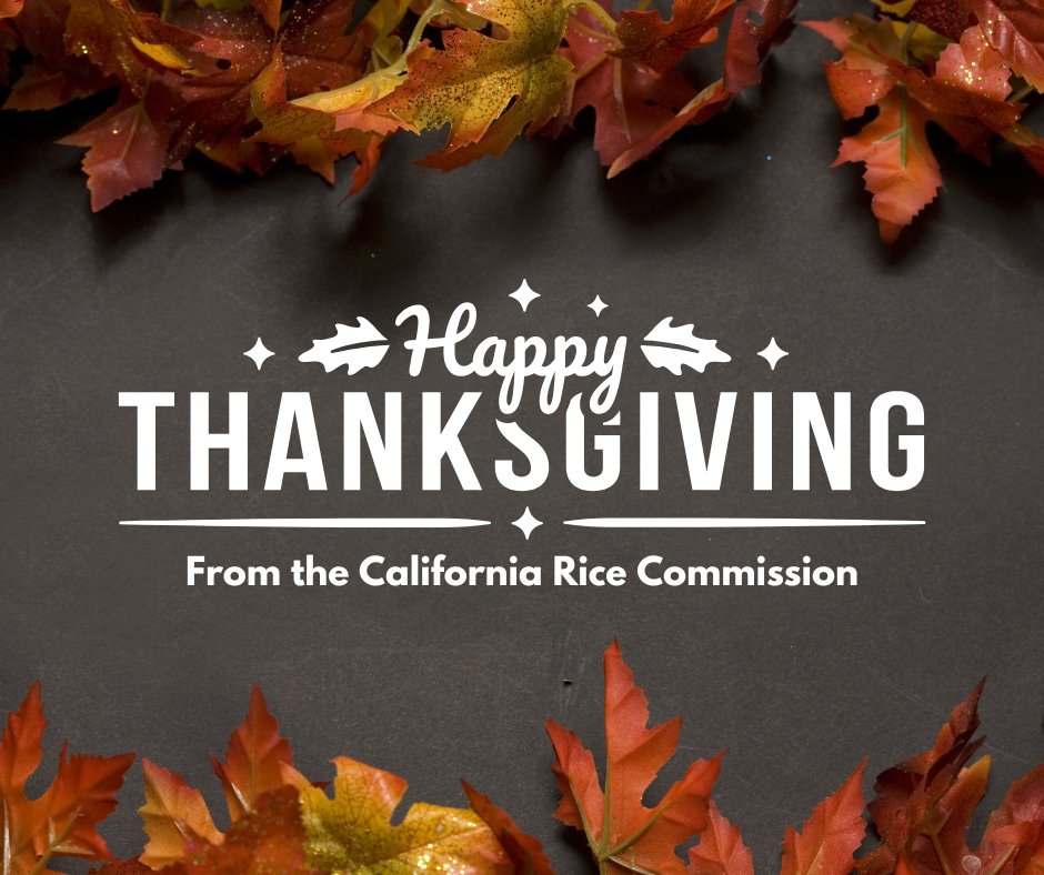 This Thanksgiving, we’re grateful for California’s rice growers and the wildlife their fields support each winter
.
From our community to yours — wishing you a safe and restful holiday. 🌾🦃

#CARice