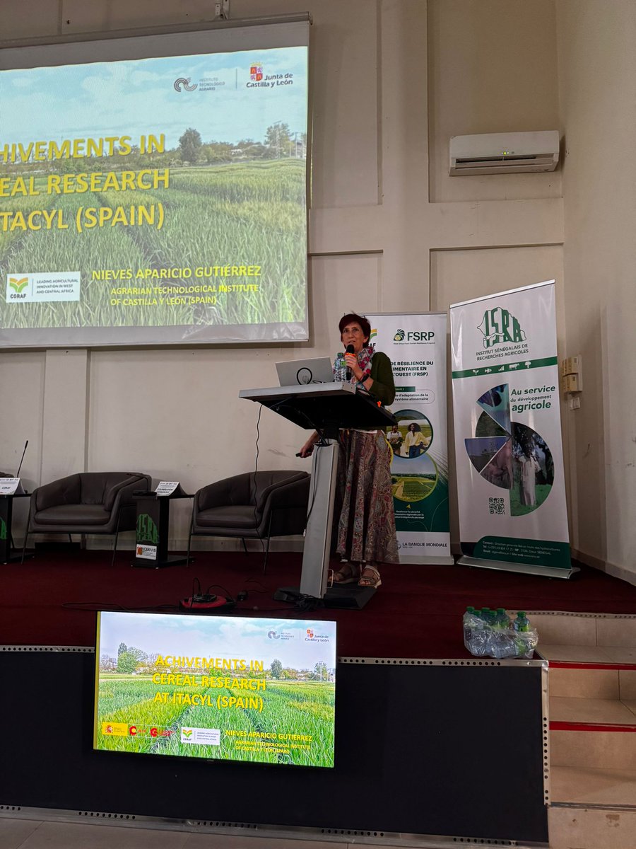 aparicionieves3's tweet photo. 😊😊 Experiencia inolvidable en #Thies, #Senegal, compartiendo nuestros proyectos en el metting sobre #cereales en #zonasaridas.
👉🏻 Gracias al #CORAF y al @CDTI_innovacion.
Acompañada por @EvadelaGala, @CETECE_
@ITACYL , #emergingcrops, #smallgrains https://t.co/aejbLl6Ywr