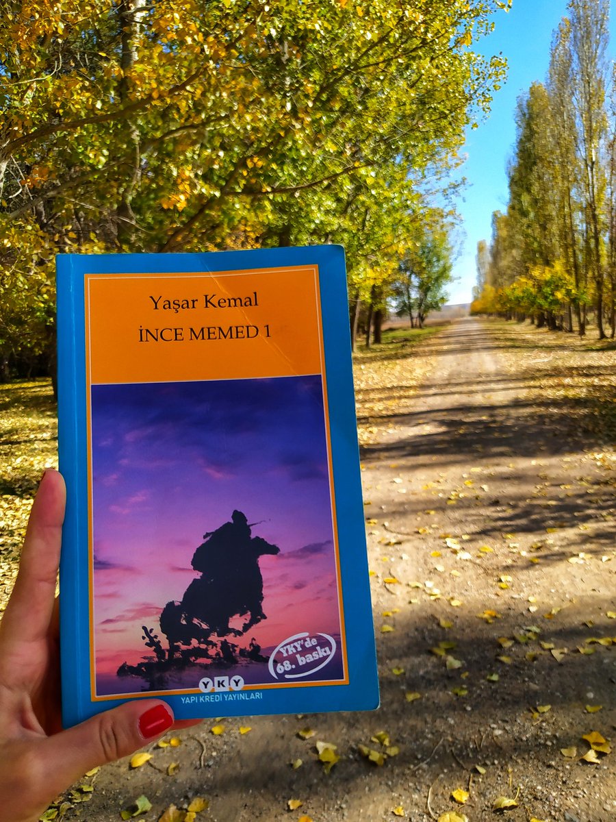otuz iki yıllık bir zaman diliminde yazılan İnce Memed serisini otuz iki yaşımda başladım ve ilk serisini bitirdim aferin bana diğer üç seriyi de bitirmek nasip olsun 😇 
#kitapkurtlarıyarışıyor 
#kitapseverlertakipleşiyor