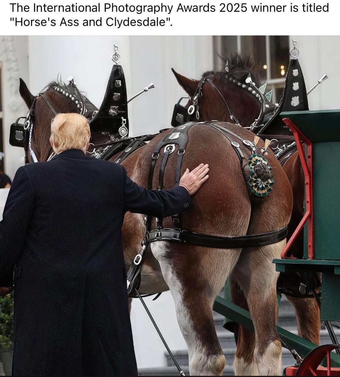 From One Horse's Ass to Another.
