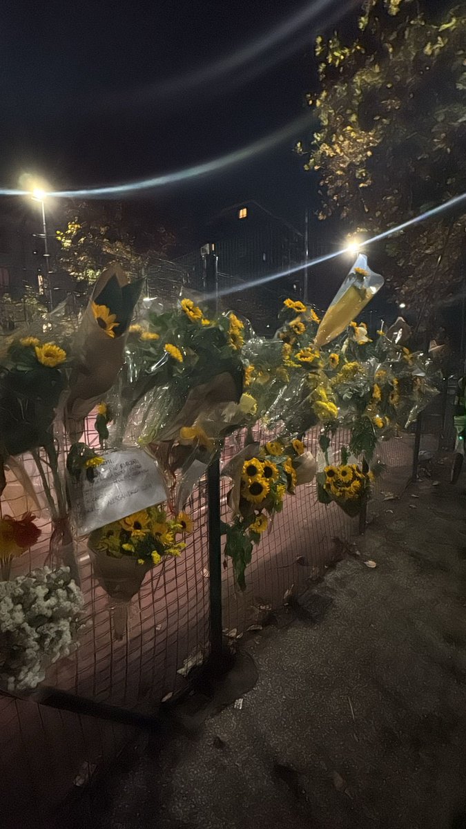 paolabottelli's tweet image. Via Dezza a #Milano poco prima delle 22 di stasera.
Molto molto bene!
🌻 😍
(Poi ora immagino chi porta giù i cani al campetto o chi ha le finestre che affacciano proprio lì a cercare di scovare il farabutto)