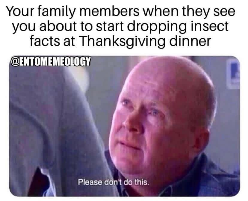 Happy 🦃 Recluse day to those who celebrate from Bug Management!

I’m thankful to have cultivated such a humorous, enthusiastic and compassionate group of bug nerds on the internet. I hope you all have a fun and safe holiday. 🕷️