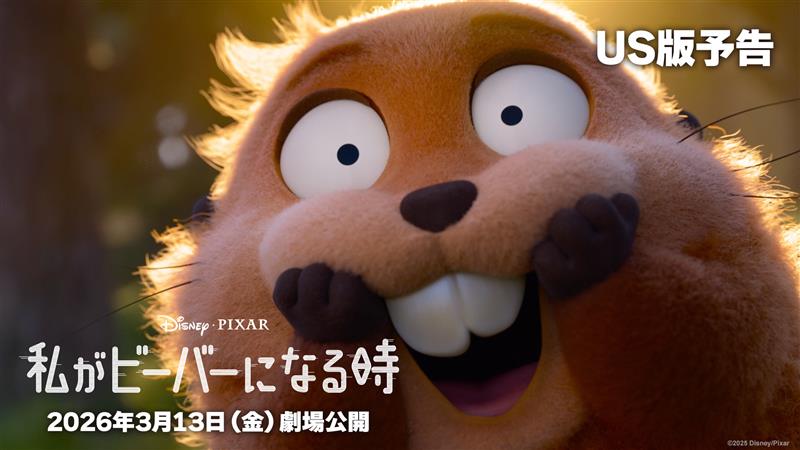 Japanese Stock Investor (@stock_japanese) / Posts / X