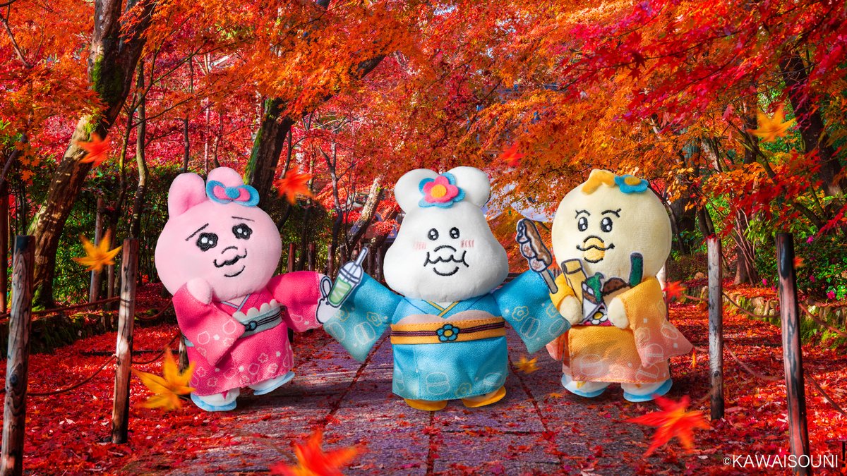 楽天コレクション (@Rcollection_PR) / Posts / X