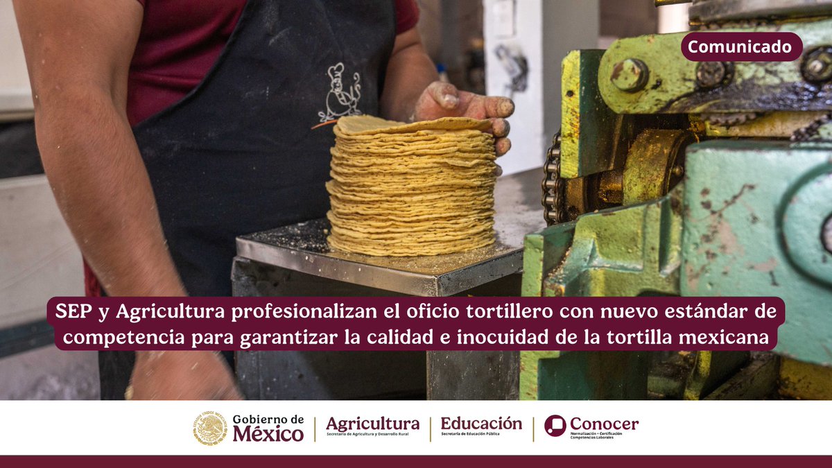 Agricultura_mex's tweet photo. COMUNICADO | Se publicó en el Diario Oficial de la Federación (DOF) el Estándar de Competencia (EC) 1707 “Elaboración de tortillas de maíz con máquina tortilladora”, cuyo propósito es servir como referente para la evaluación y certificación de las personas que se desempeñan en esta actividad, a fin de garantizar la calidad e inocuidad del producto y la seguridad industrial en los establecimientos de tortilla de maíz.

Conoce más en https://t.co/09nys4qTk4