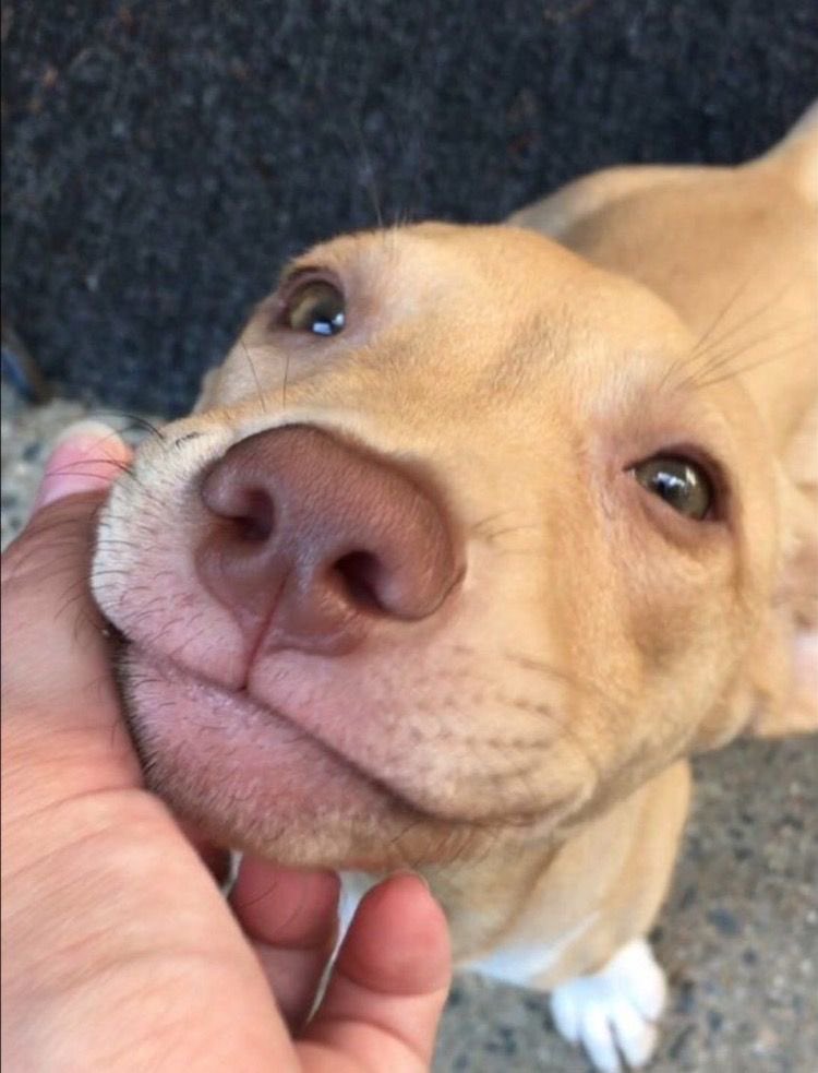 twaniimals's tweet photo. https://t.co/zxAvRontwY