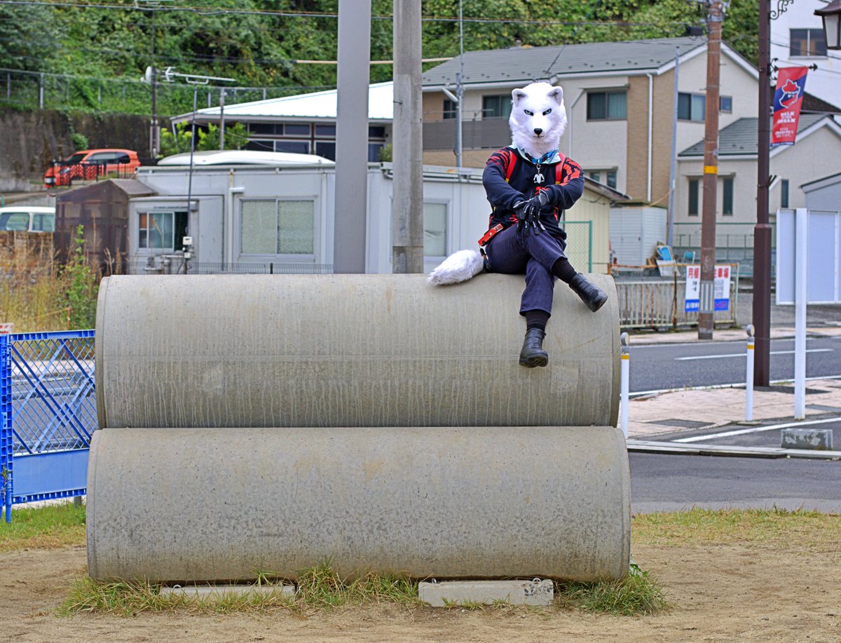 #FurticStudio
#こいと写真館
#FursuitFriday 
駅前の広場、撮影にもほんと良かった。
土管は無くならず、移動のことなので安心❗