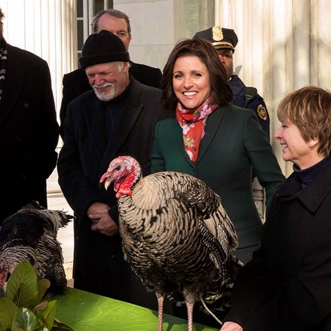 Selina Meyer tweet media