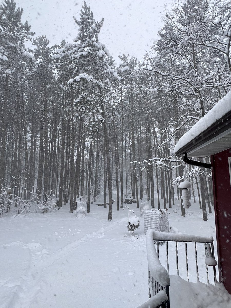 感謝祭の朝
本格的な雪のシーズン来た🥶