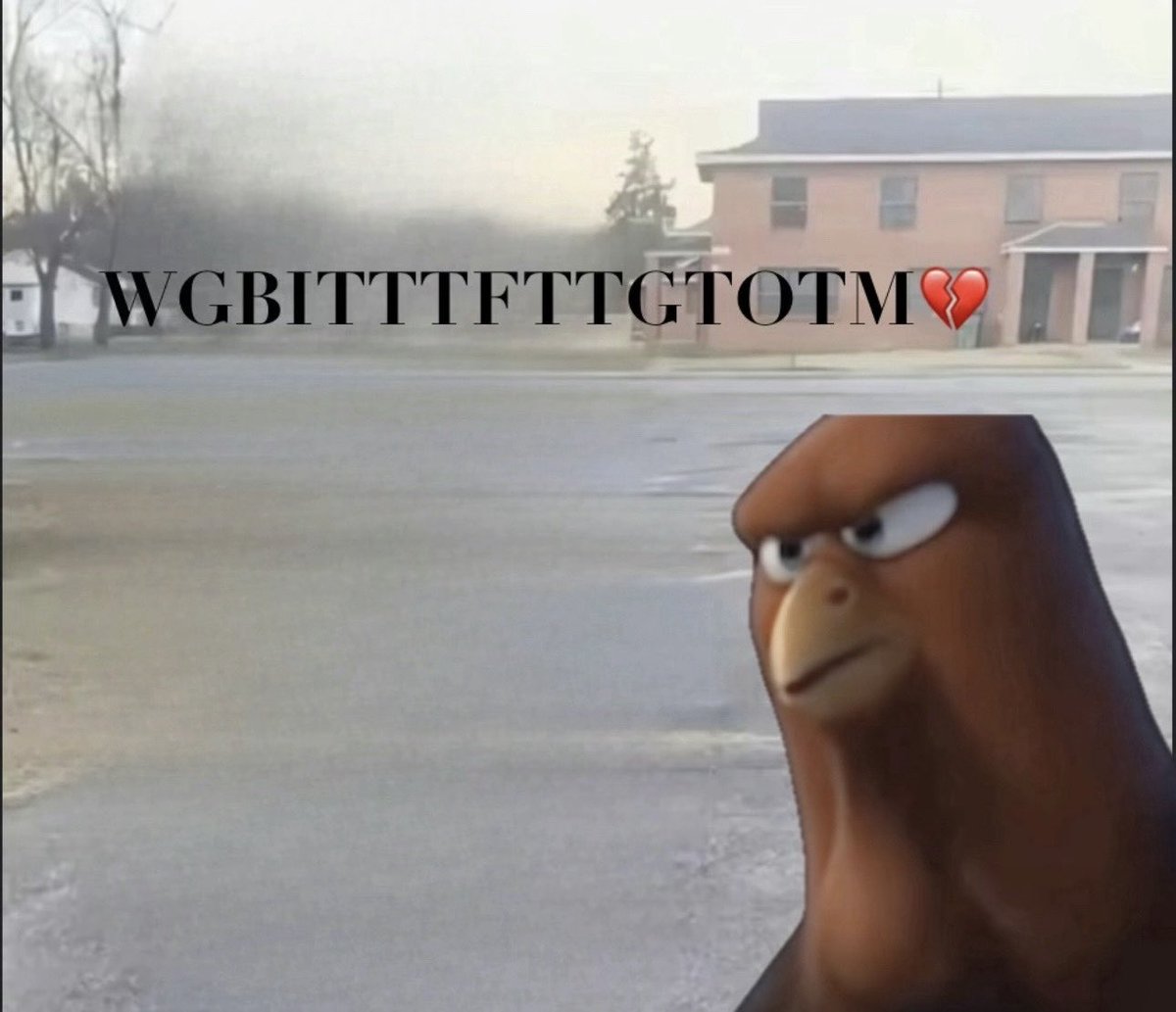 ContentMoss 🦕🌿 (@contentmoss156) on Twitter photo 