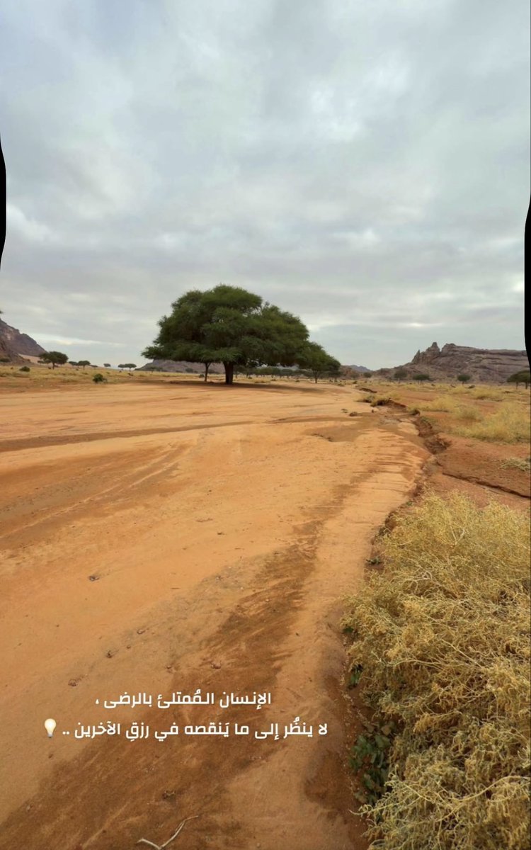 الانسان الممتلىء بالرضا لاينظر إلى ماينقصه في أرزاق الاخرين

#كأس_الملك 
#كأس_العرب2025 
#عطر_يليق_بك 
#قطار_الرياض