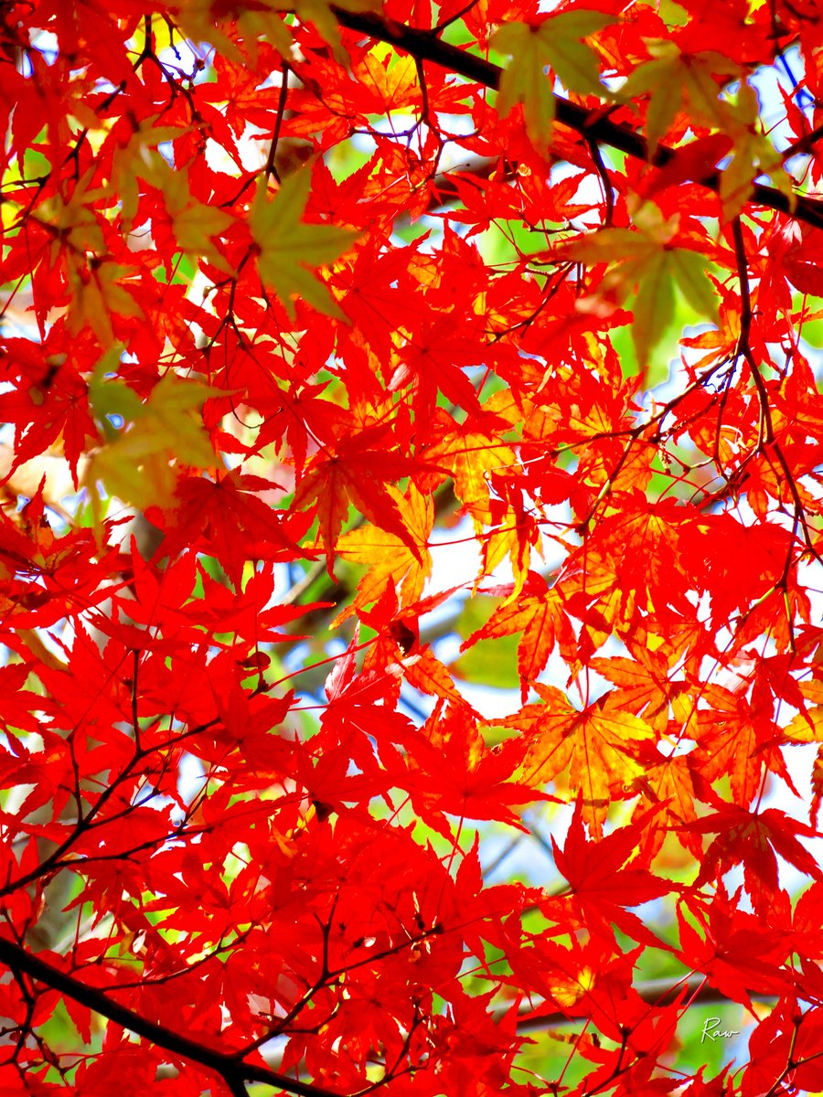 安らぎと不安：心の静寂
-
現実逃避で目を反らしても
不安の解決には至らない

一時の快楽で不安を忘れても
不安が消えたわけじゃない

不安と向き合って受け入れる
それは決して諦めではなく

人生を切り開くための決意
揺らがぬ意志こそ心の静寂
-