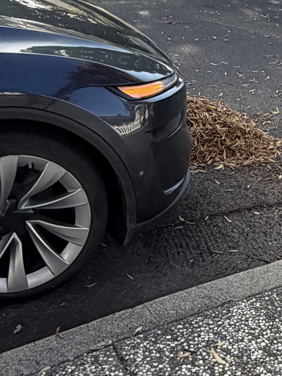 RayLin's tweet image. the robotaxi parked on top of a pile of leaves and drove over it @elonmusk