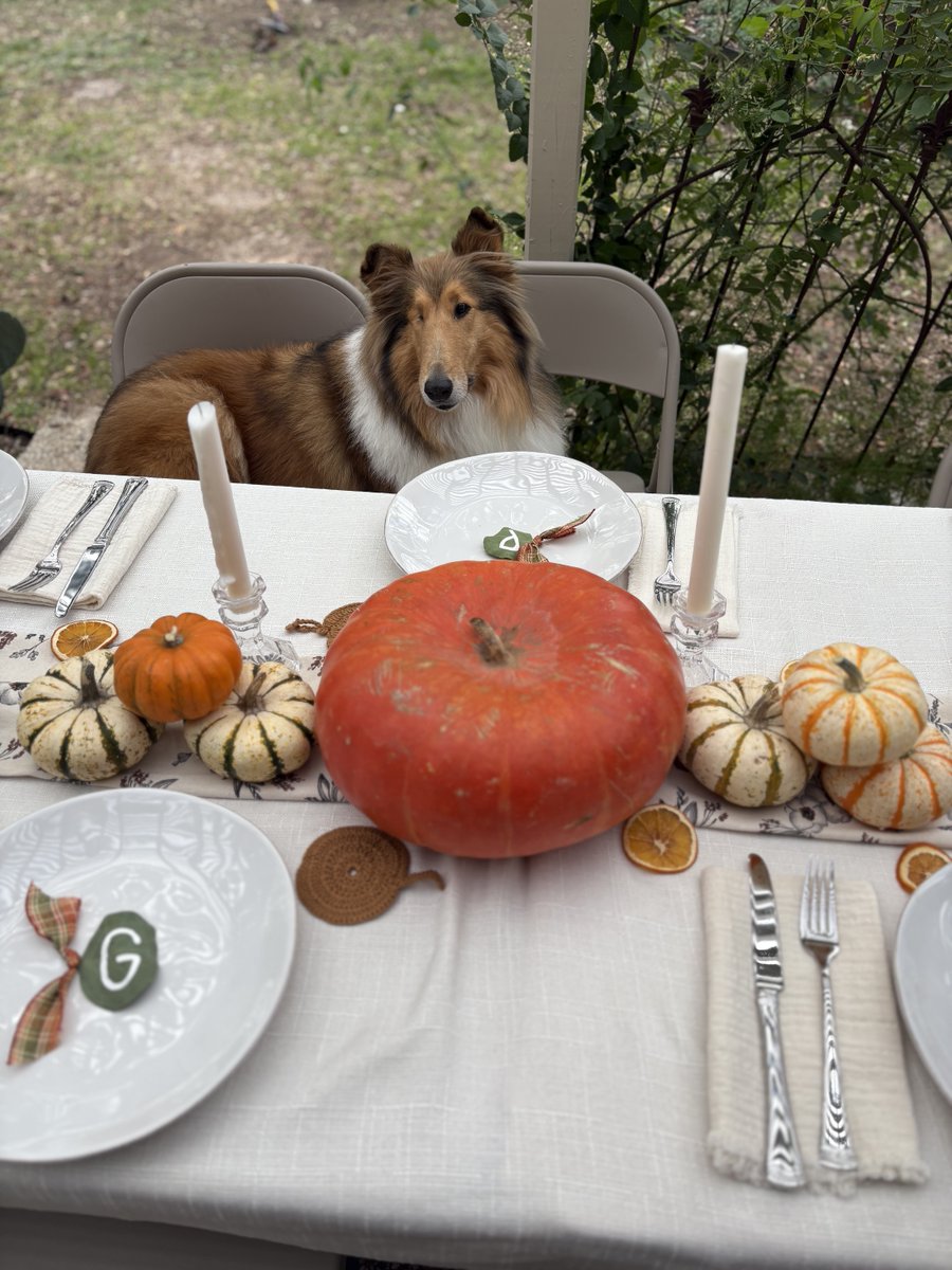 Reveille X tweet media