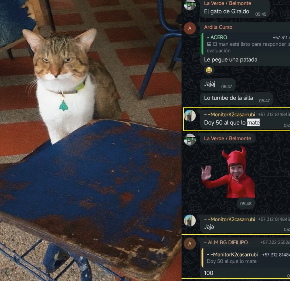 ABERRANTE. Salió a la luz un macabro chat en el que  miembros de la Base Militar de Tolemaida hacen una rifa para matar un gatico que vive en las  instalaciones 🤬

Señores <a href="/COL_EJERCITO/">Ejército Nacional de Colombia</a> ,  hay que sancionar a los responsables y resguardar al gatico. ¿Qué clase de gente tienen en