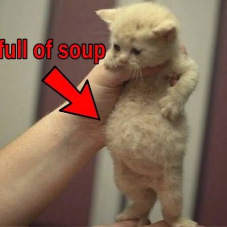 Alex y yo (hemos ido a cenar ramen)