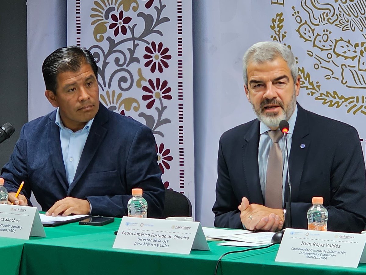 Se presentaron hallazgos de estudios cuantitativos y de campo realizados en 5 estados y 7 cadenas de valor, así como metodologías para fortalecer la información oficial sobre la población jornalera agrícola. Una base sólida para el diseño de políticas públicas efectivas.