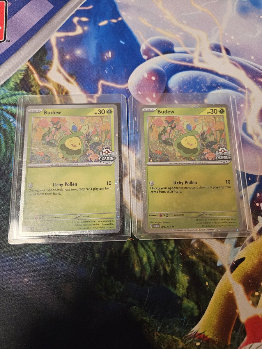 Moritz 🐉⛩️ tweet media