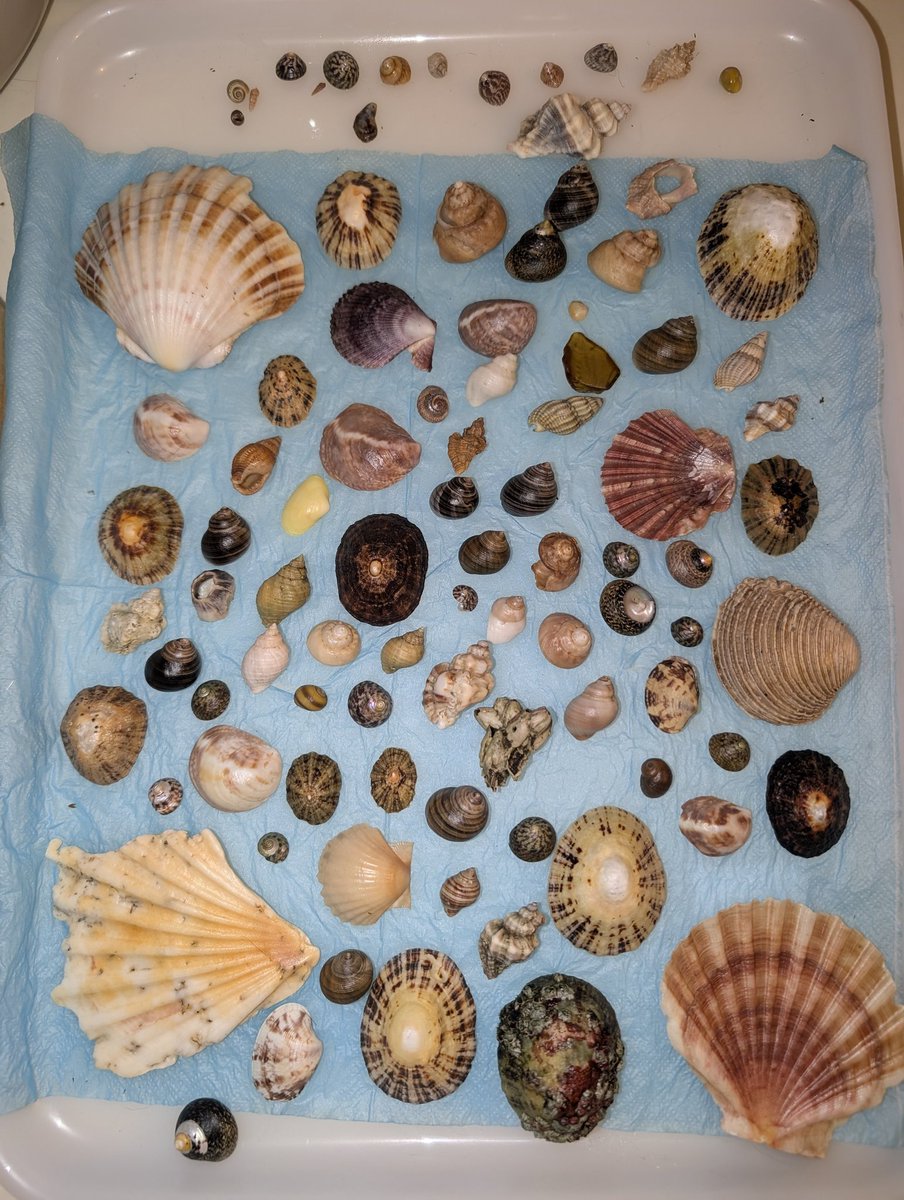 slothdive's tweet image. 