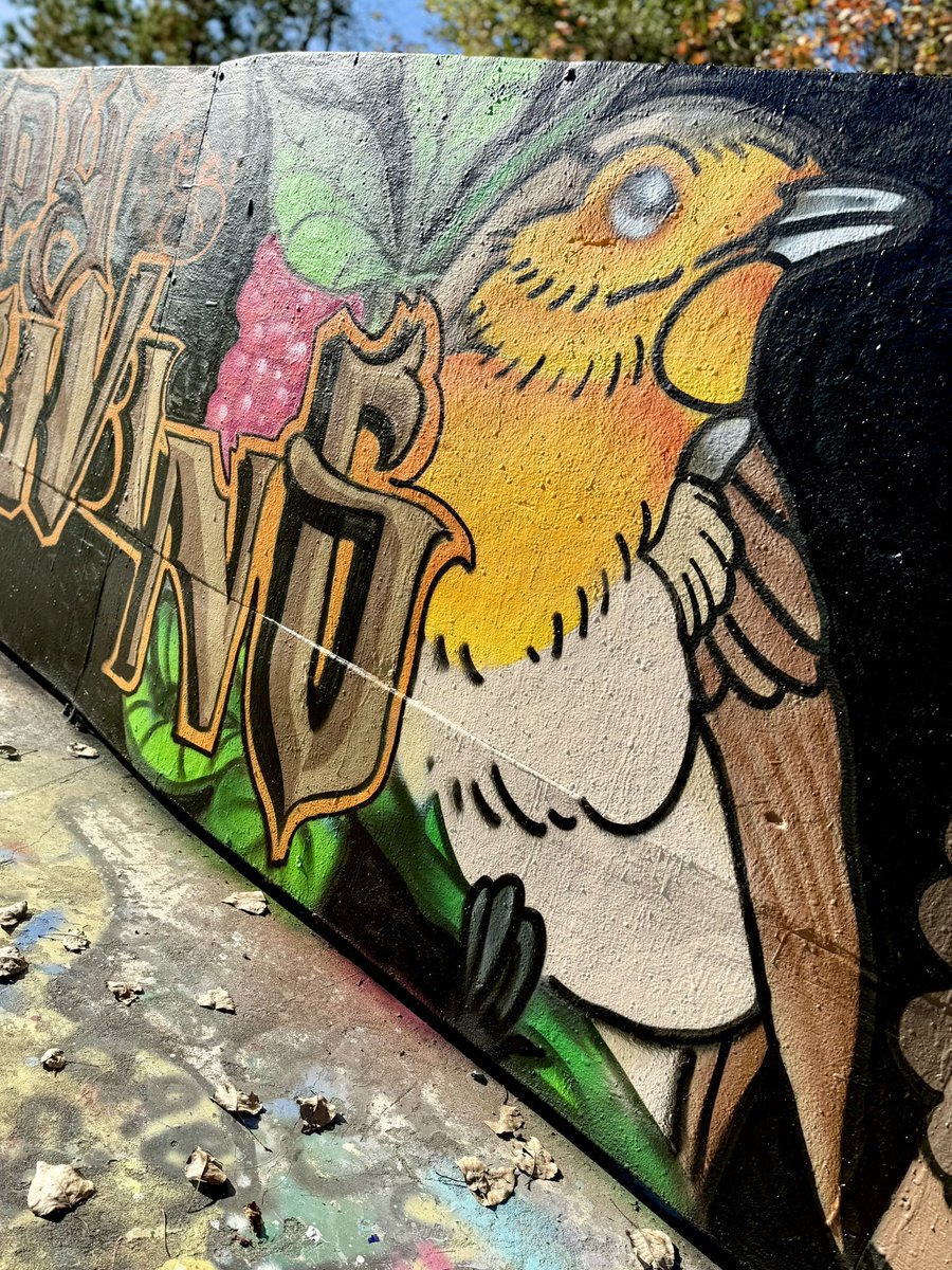 it was the perfect day to stop by Goose Creek Graffiti Park to check out the gorgeous Thanksgiving mural! 🦃 

#Mural #GraffitiPark #GooseCreekSC