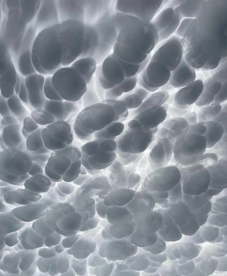 Cómo me ve Pinterest:
-Character: no sé por qué, pero sí.
-Animal: OBVIO!
-Lyrics: Tame Impala siempre
-Weather: Mammatus, mi tipo de nube favorita.