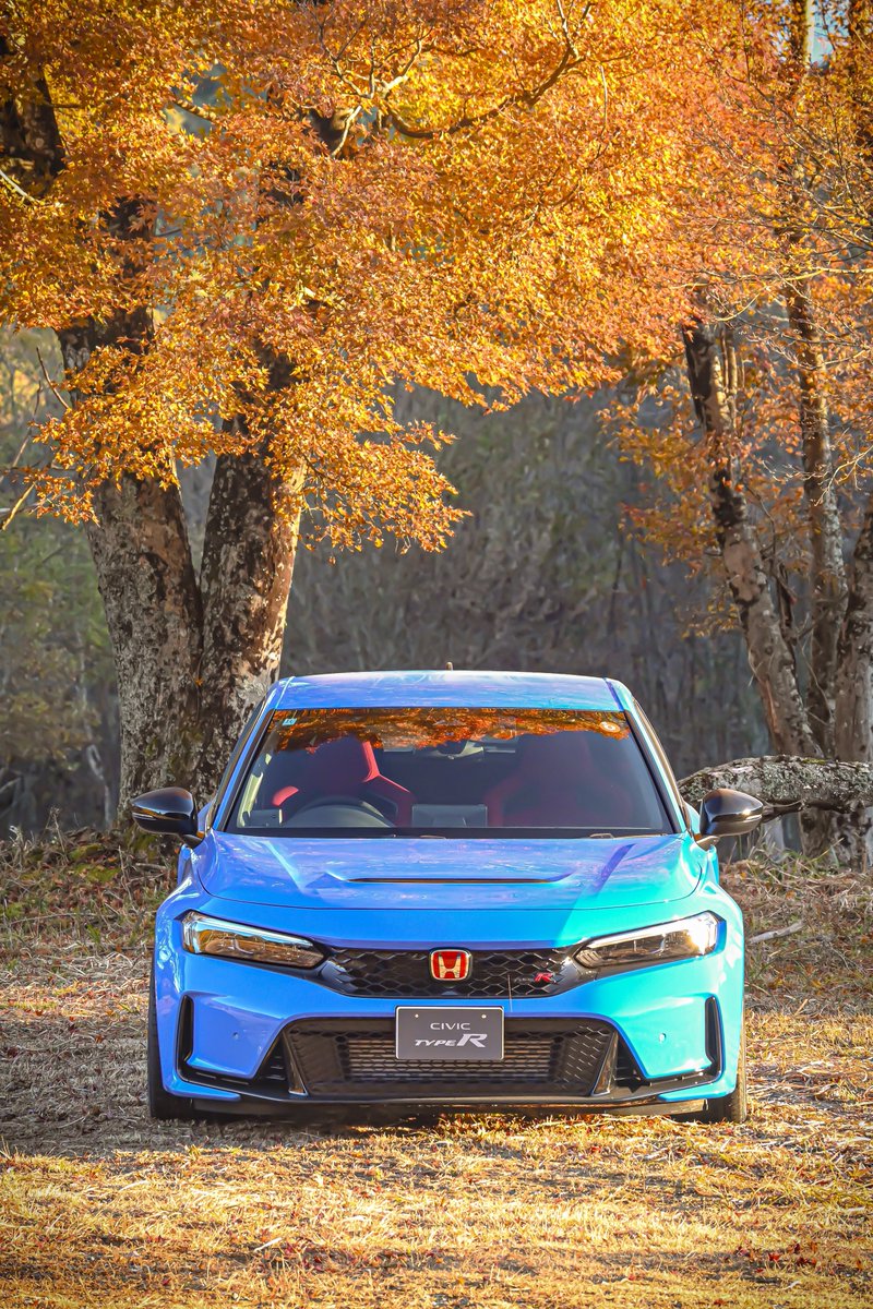 しーばR (@shiiiba_FL5) / Posts / X