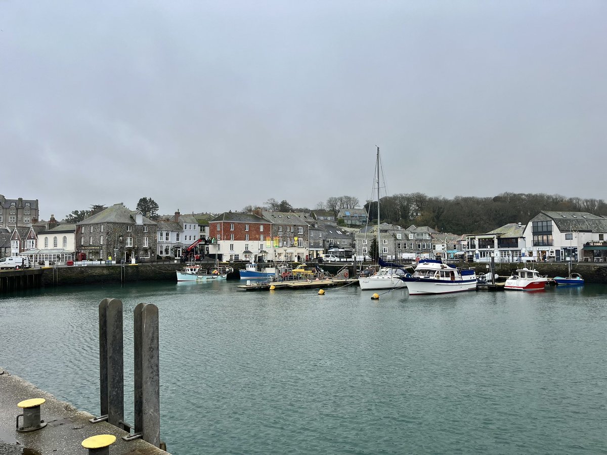 Amy Savage tweet media