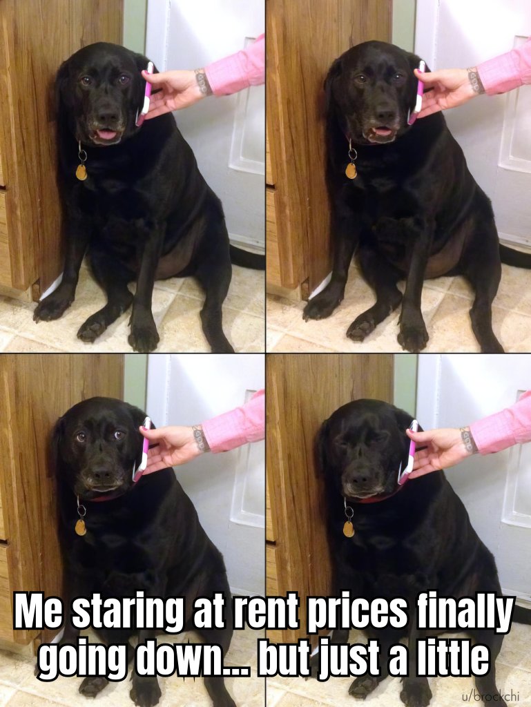 <a href="/unusual_whales/">unusual_whales</a>