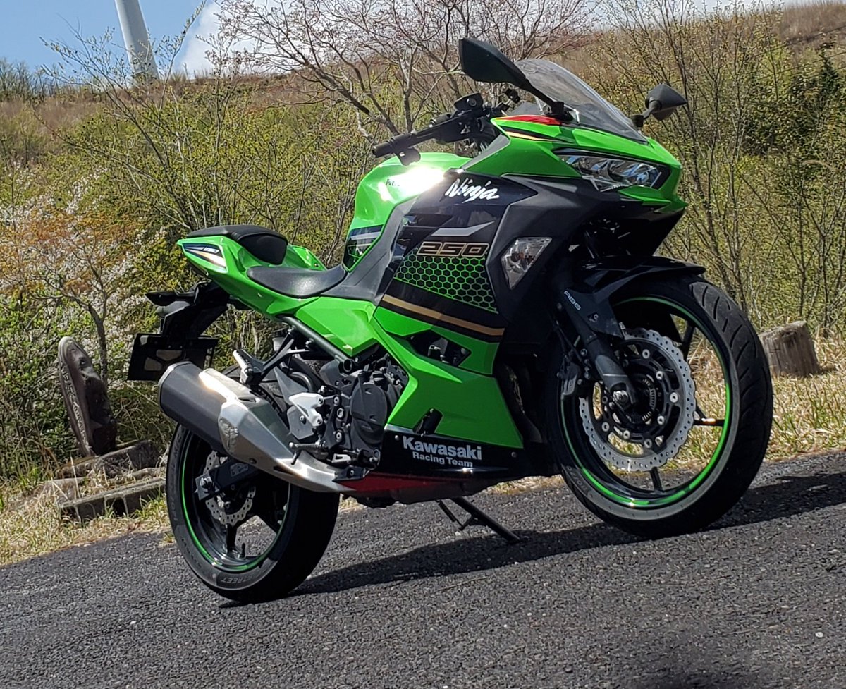 愛知県知立市にて
11月27日 夕方17:30～5:30の間にバイク盗まれました。
kawasaki NINJA250 三河・て 373
色 ライムグリーン
仕事終わって帰ってきたら無くなってました🥲︎
#盗難 #バイク
#たすけてください
#バイク盗難