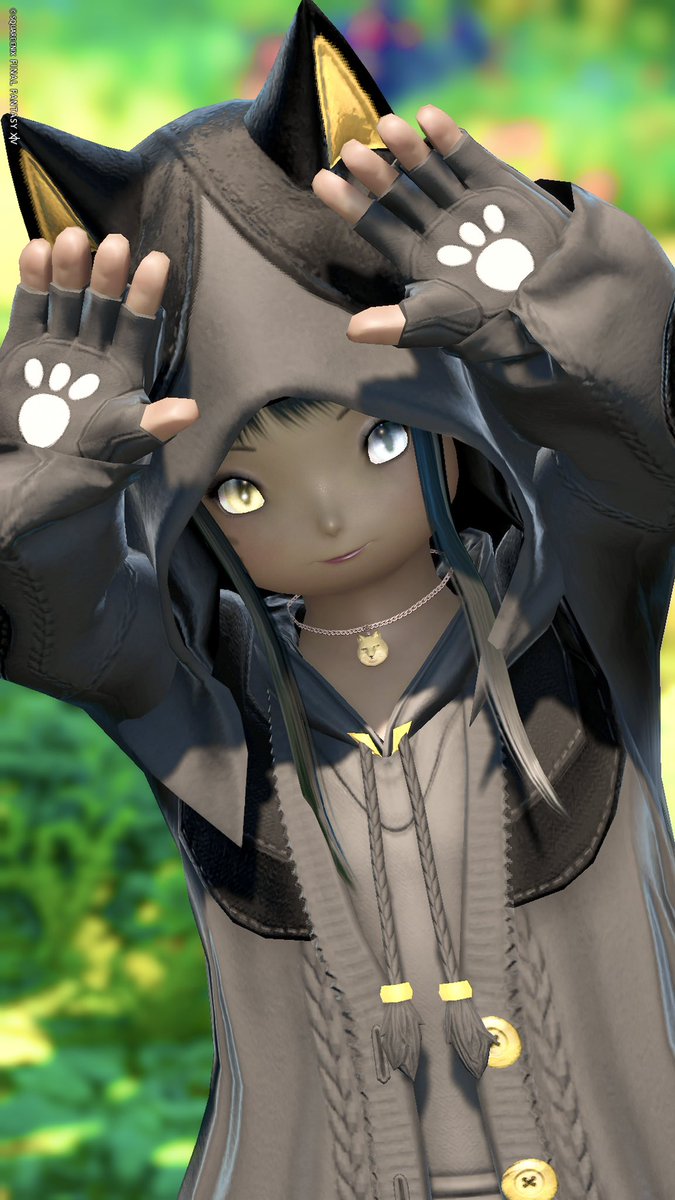 ⧉ 𝘎𝘰𝘰𝘥 𝘔𝘰𝘳𝘯𝘪𝘯𝘨 🫧ˊ˗ 本日はきらきら金曜日っ✨ 最近お猫