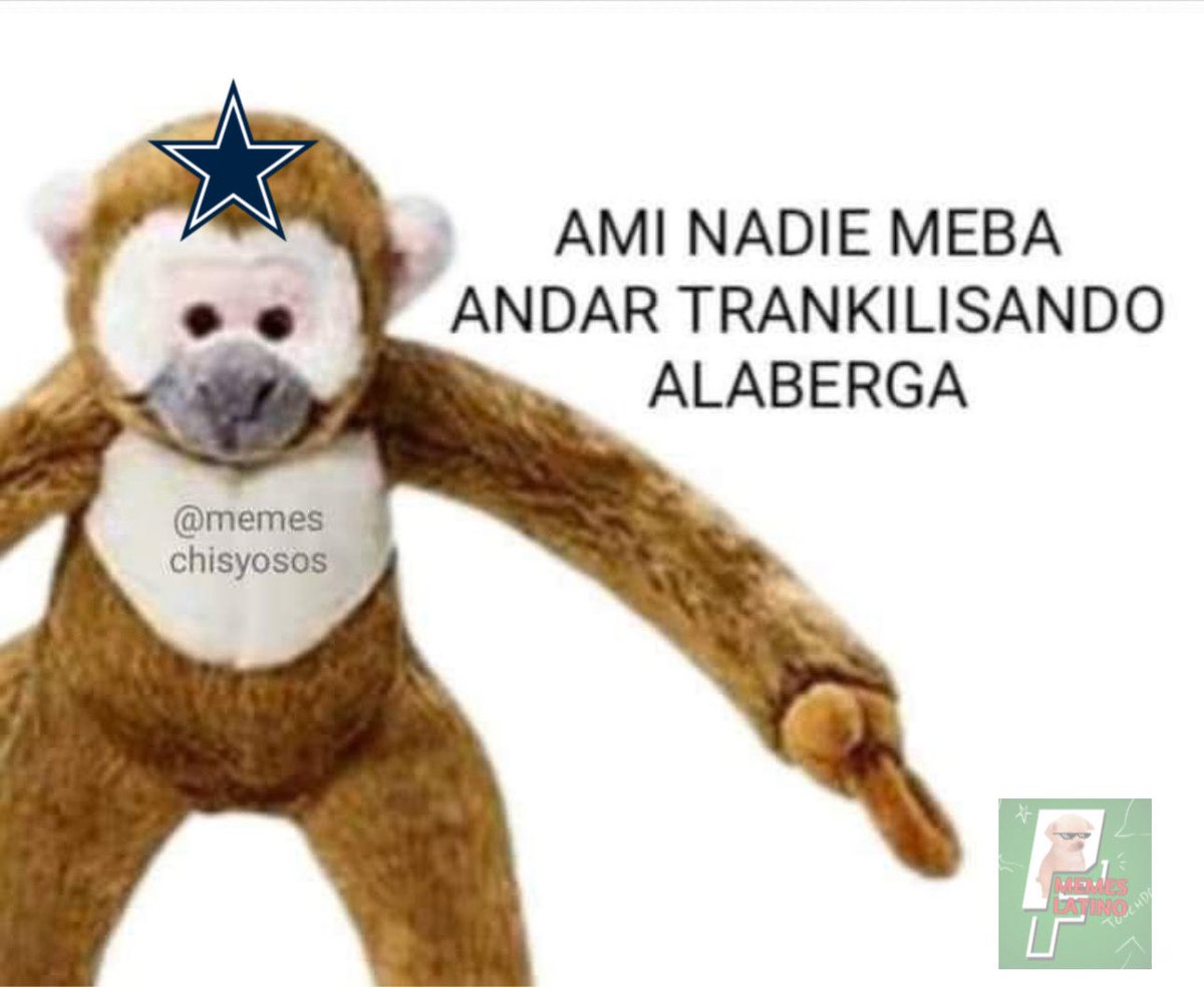 Piloto Memes Latino (@pilotomemeslat) on Twitter photo 