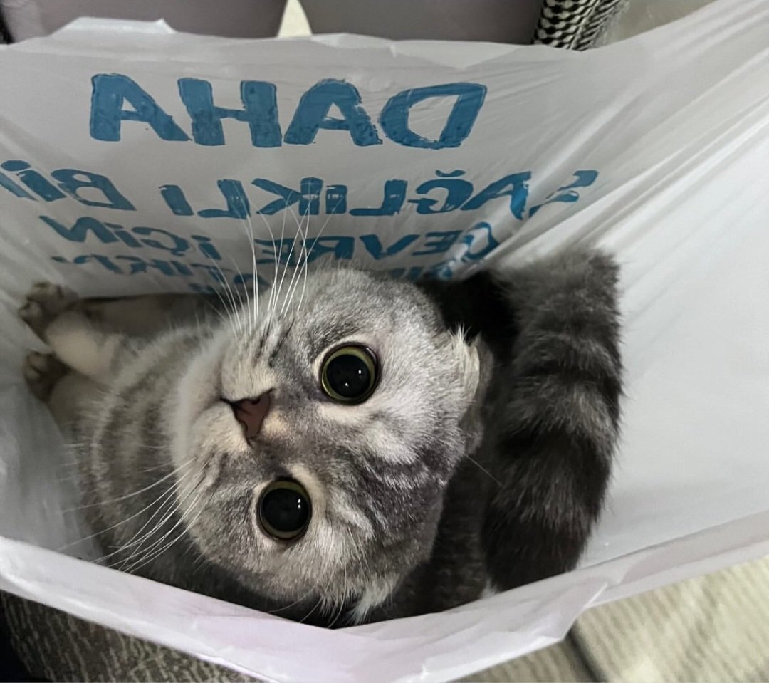 Bir poşet mutluluk🥰❤️
#hayirlicumalar 
#iyigeceler