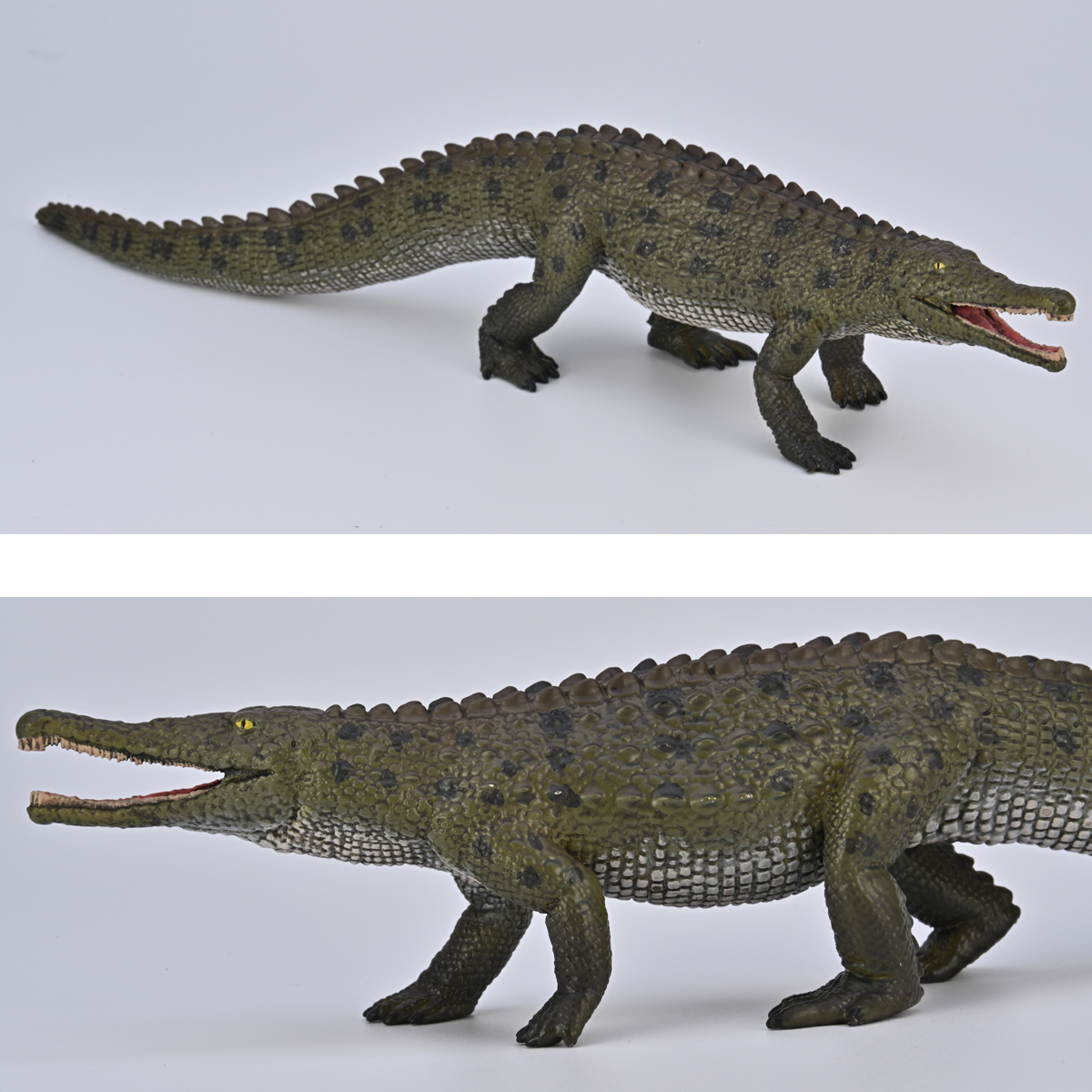 Everything_Dino's tweet photo. Today, @Everything_Dino announces that CollectA will introduce a replica of the Indian 🇮🇳 Late Triassic phytosaur Colossosuchus techniensis in 2026.
✅Model measures 21 cm long
✅Has a "gular shield"
✅Extensive dermal armour
#phytosaur #Colossosuchus #EverythingDinosaur https://t.co/s0iCyTA8w0