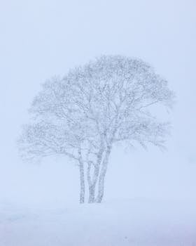 ちゃんと水分とった？