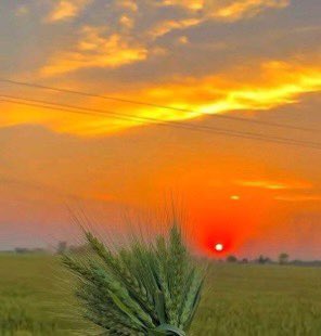 ،صباح الخير عالحميع