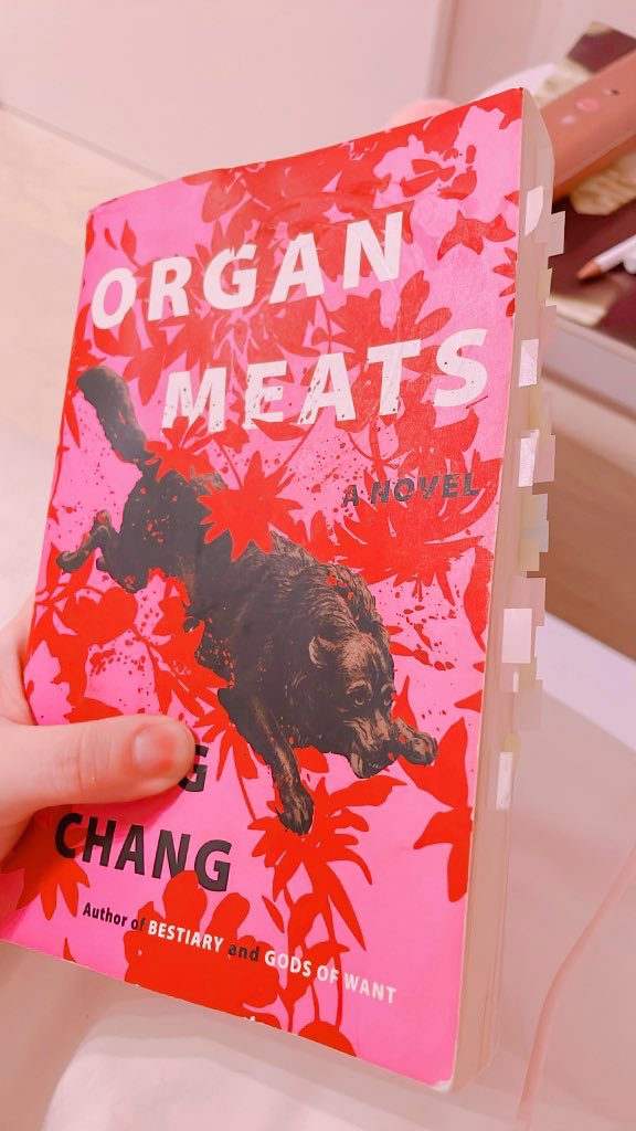 🐇 洋洋 tweet media