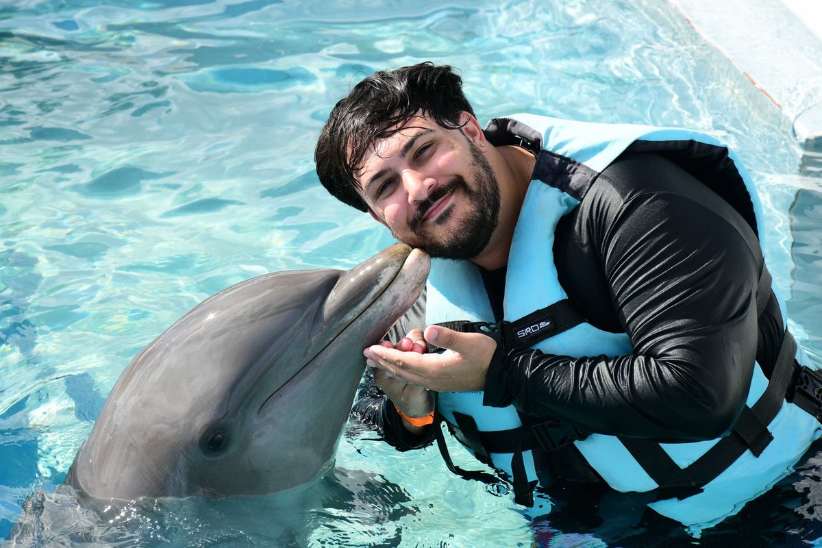 Alex Maciel tweet media