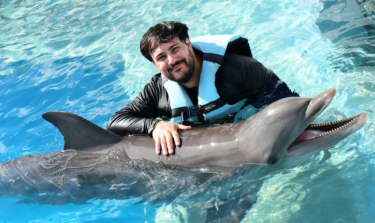 Alex Maciel tweet media