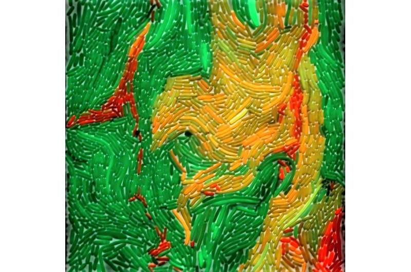 Idamr2026's tweet image. Microbial innovation and engineering design offer fresh solutions for plastic waste: tinyurl.com/m7vhwv32
For More Details Visit Our Website IDAMR 2026: infectiousdiseasesconclave.com
#microbiologyassignmenthelp #AMR