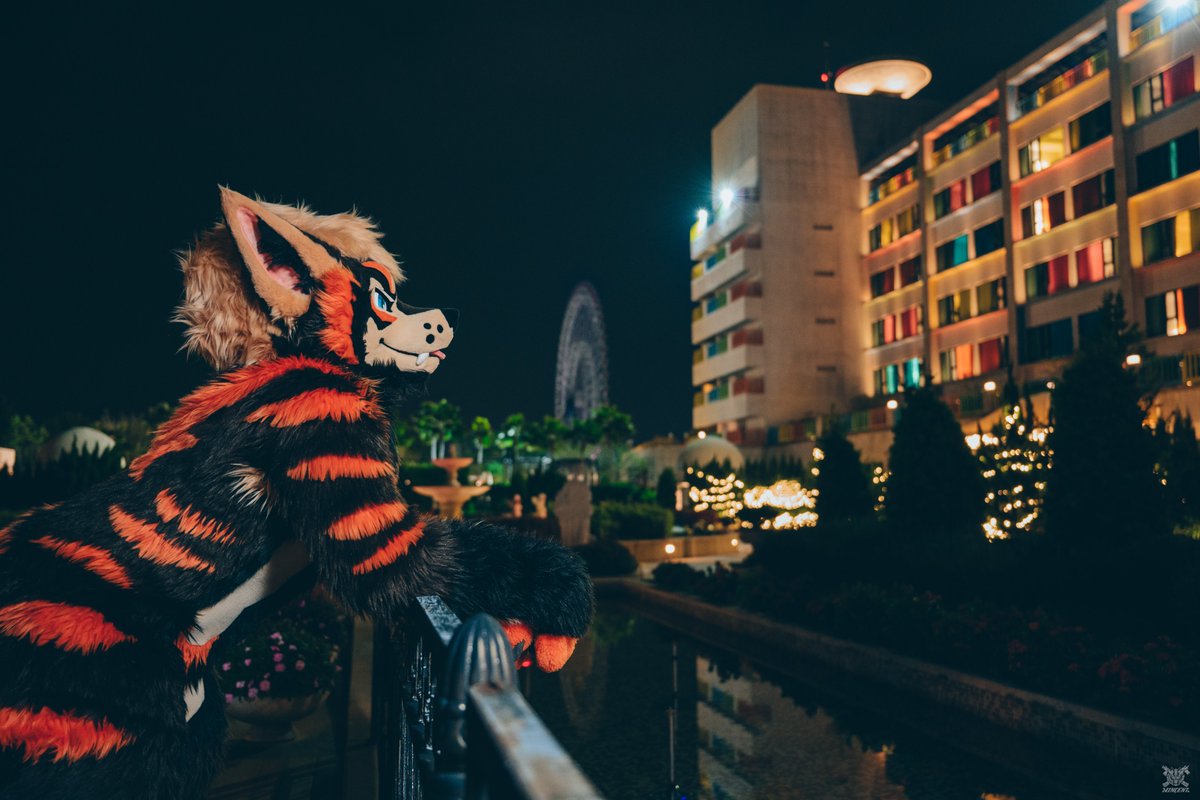 Kuromatsu_wolf's tweet image. lost in thought
📸:@VinTheCoyote 
#FursuitFriday