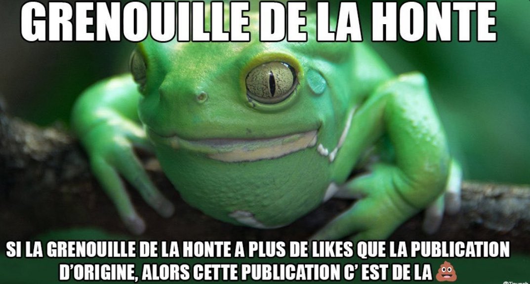 YassineTwts's tweet image. 